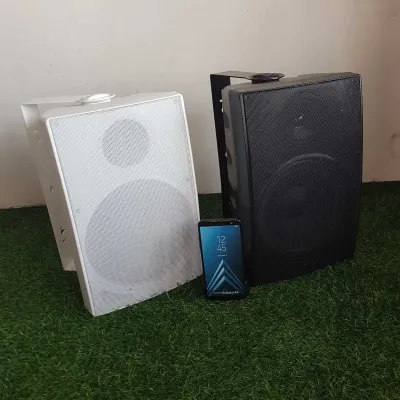 Колонка FM 308 60W