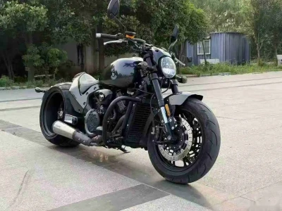 Harley Davidson 800