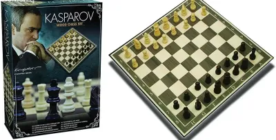 Шахматы