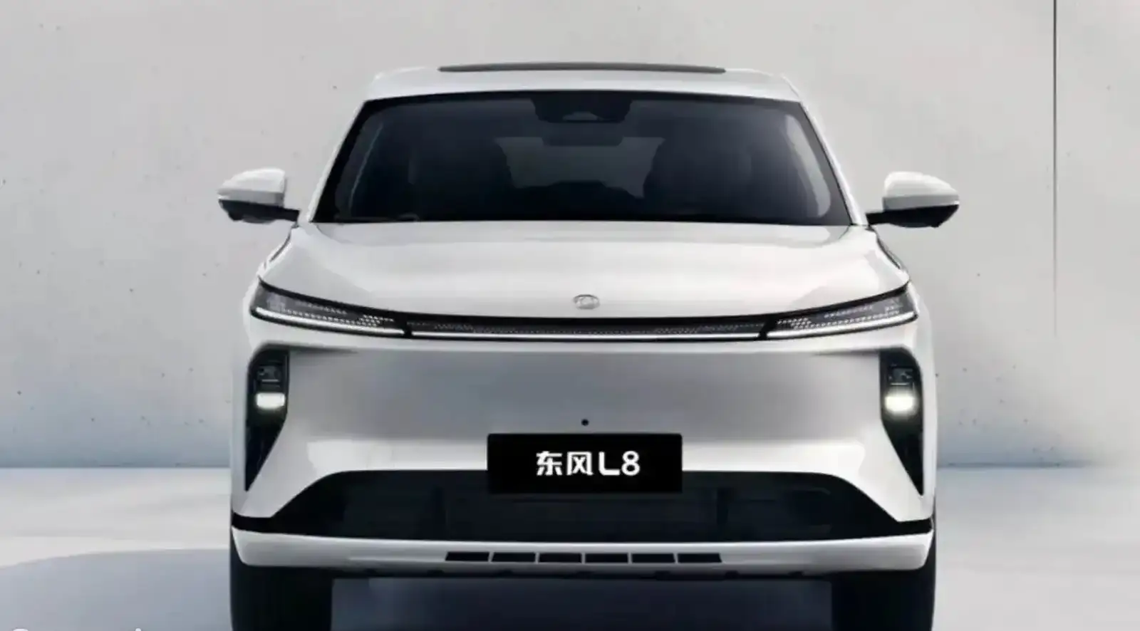 Dongfeng EN 007 2025