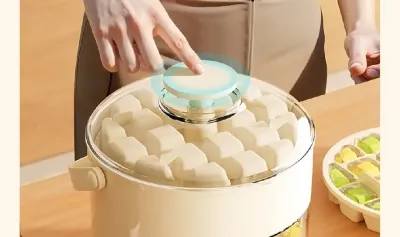 Форма для льда с крышкой и контейнером