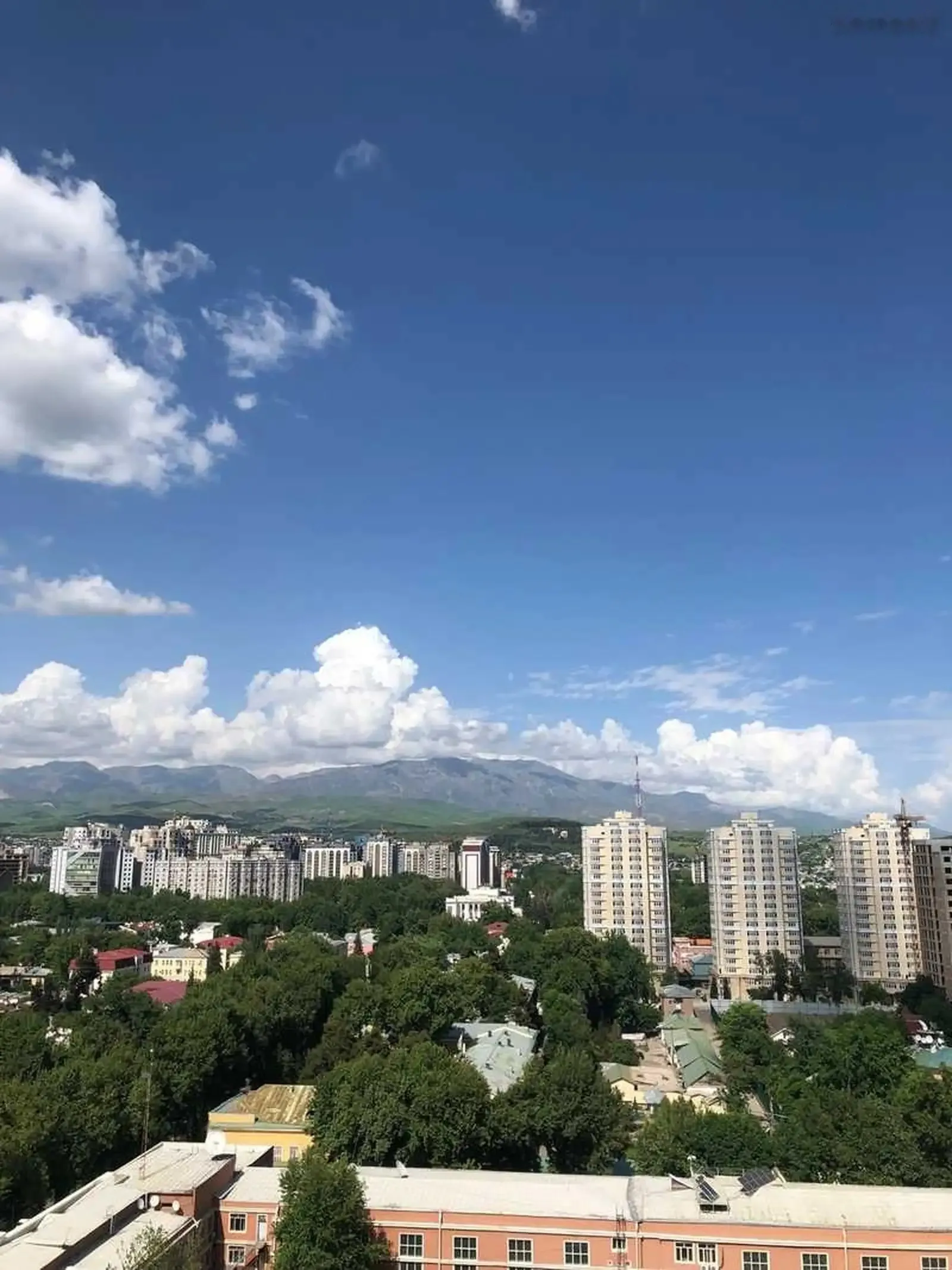 2-комн. квартира, 10 этаж, 60м², Голубой Экран