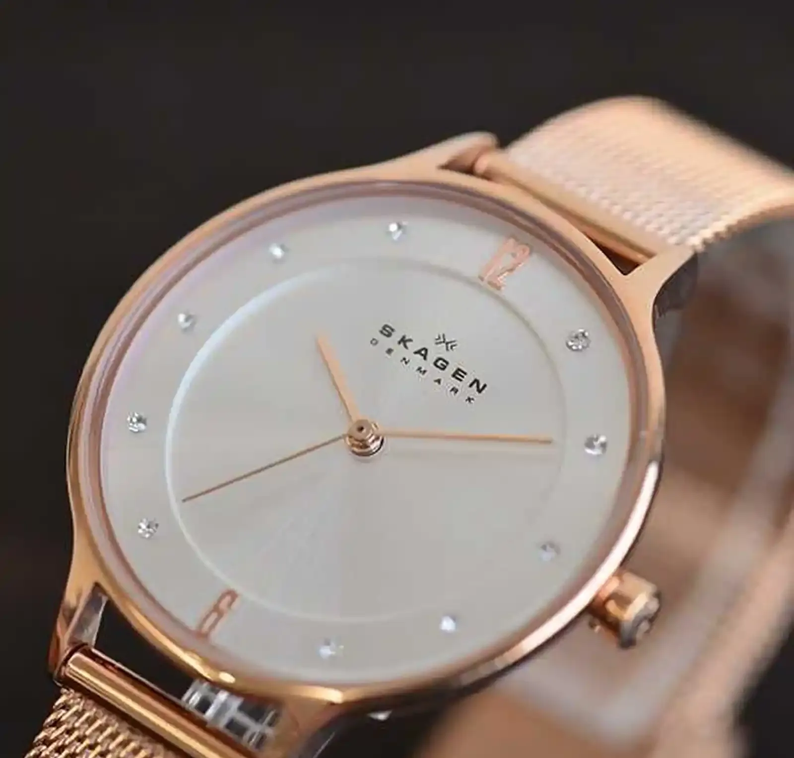 Часы Skagen SKW2151