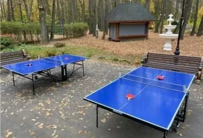 Теннисный стол
