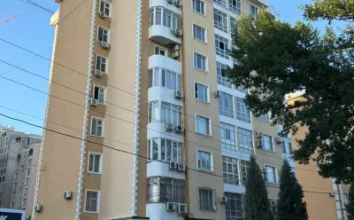 5-к квартира, 7 этаж, 161 м², Сино