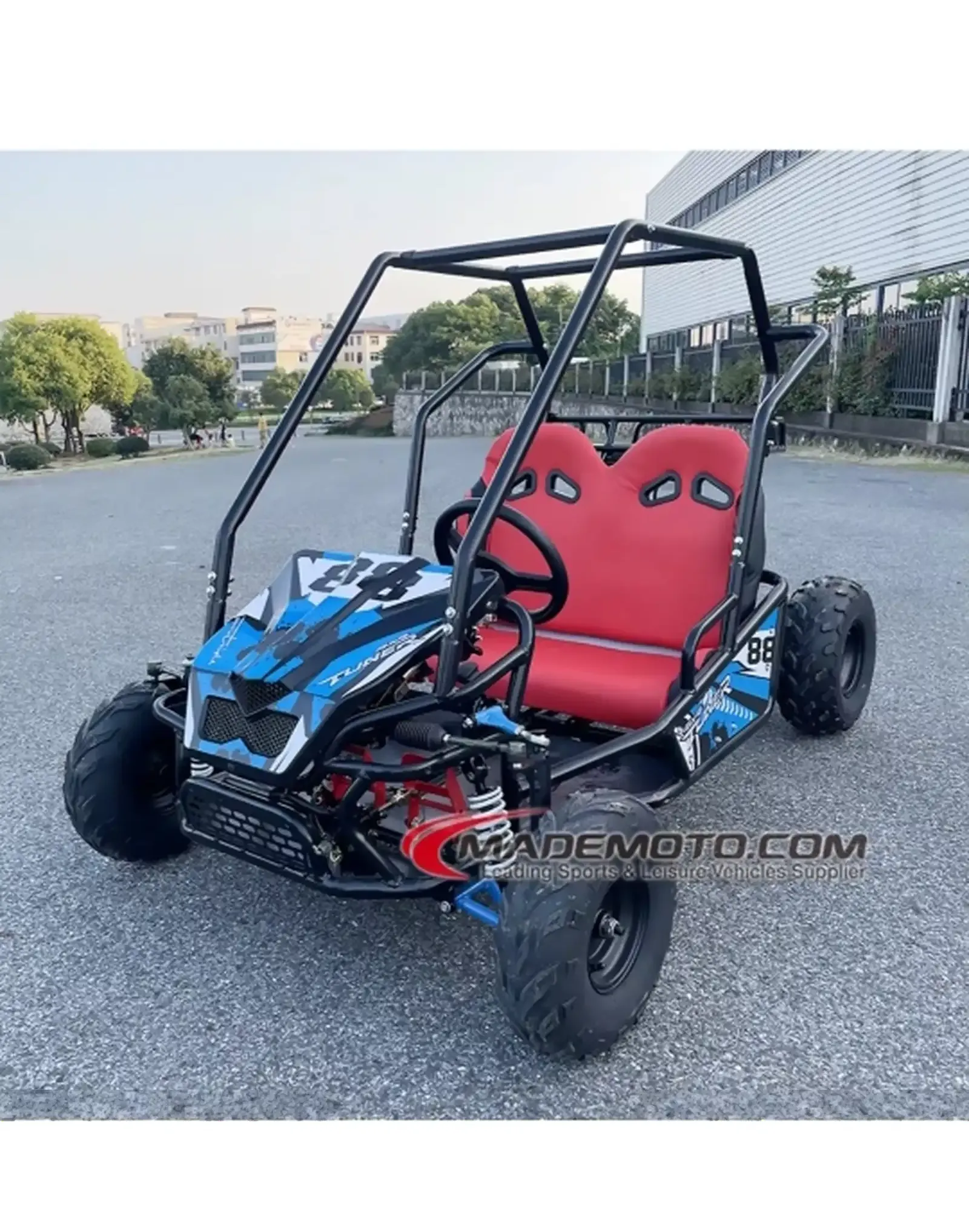 Багги электрический Buggy Rapid