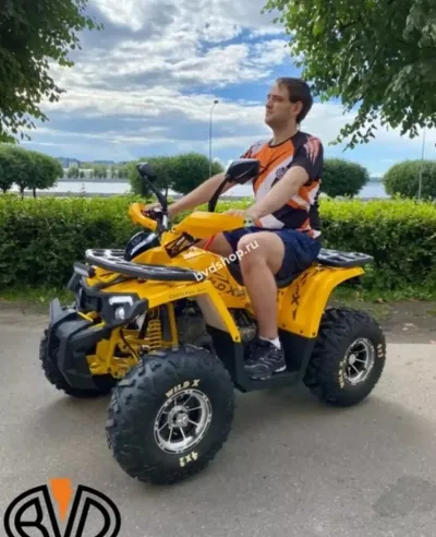 Квадроцикл Motoland wild track 200