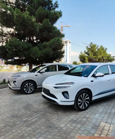BYD Sea Lion 06, 2026