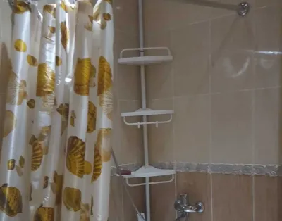 2-комн. квартира, 11 этаж, 45м², сино
