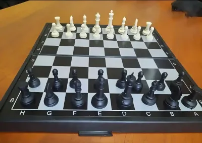 Шахматы магнитные 3в1
