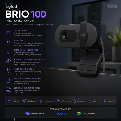 Веб-камера Logitech Brio 100 Full HD 1080p с микрофоном Graphite