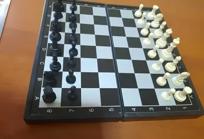 Шахматы магнитные 3в1
