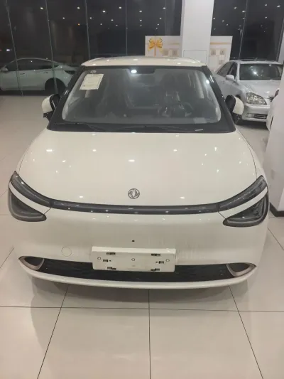 Dongfeng Nammi 2025