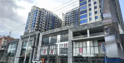 3-комн. квартира, 11 этаж, 114 м², Сино