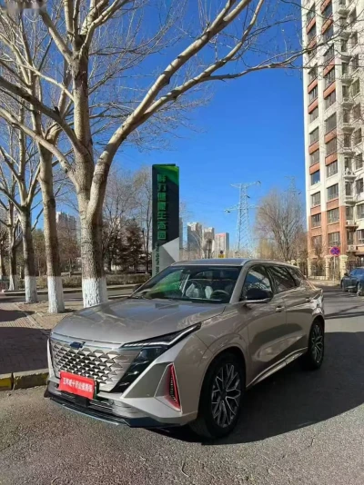 Changan Z-Chine, 2024 — миниатюра 3