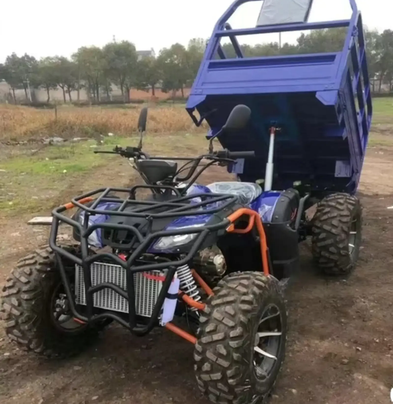 Грузовой квадроцикл YS300