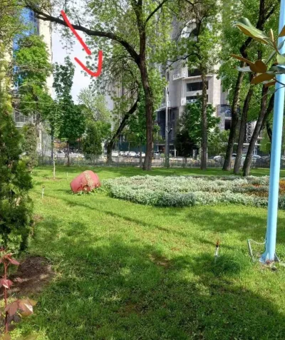 2-комн. квартира, 5 этаж, 77 м², н.Шохмансур,Ашан-парк Алишер Навои