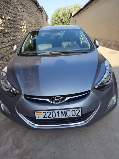 Уплотнитель Двери Hyundai Avante MD
