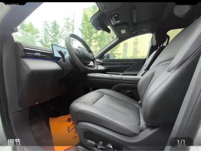 Dongfeng EP 008, 2025