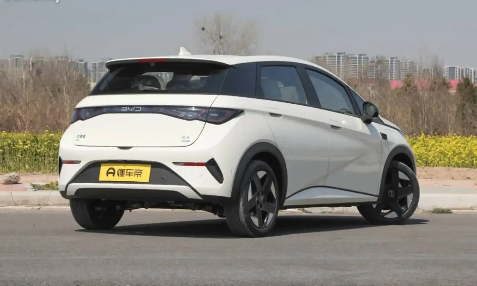 BYD Dolphin,