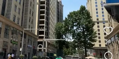 3-комн. квартира, 11 этаж, 57 м², Созидание