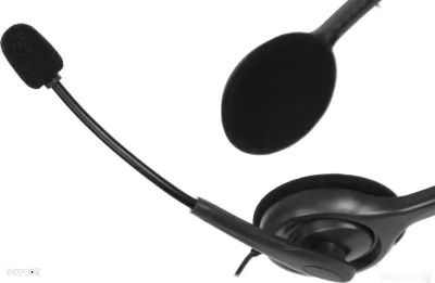 Гарнитура Logitech H110 Stereo Headset с шумоподавлением Dual 3.5 мм