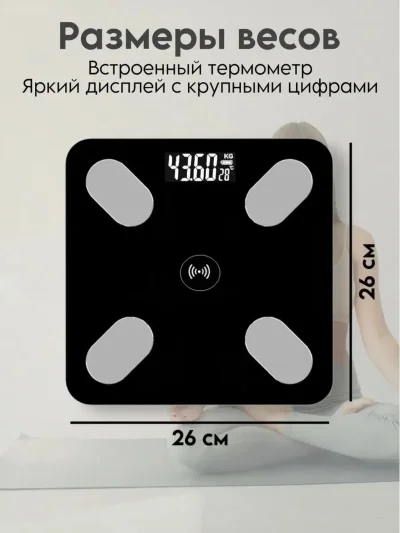 Весы — миниатюра 7
