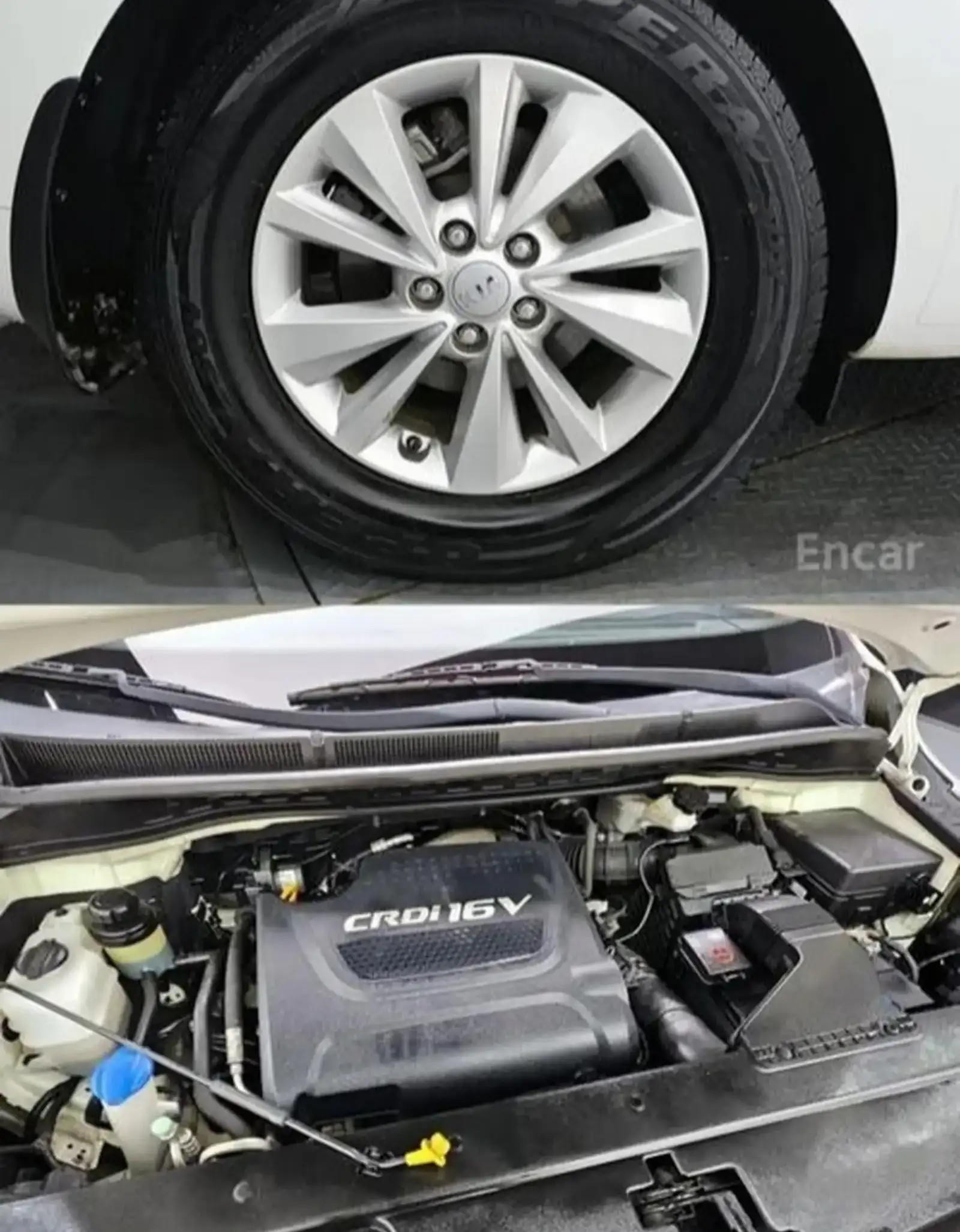 Kia Carnival,