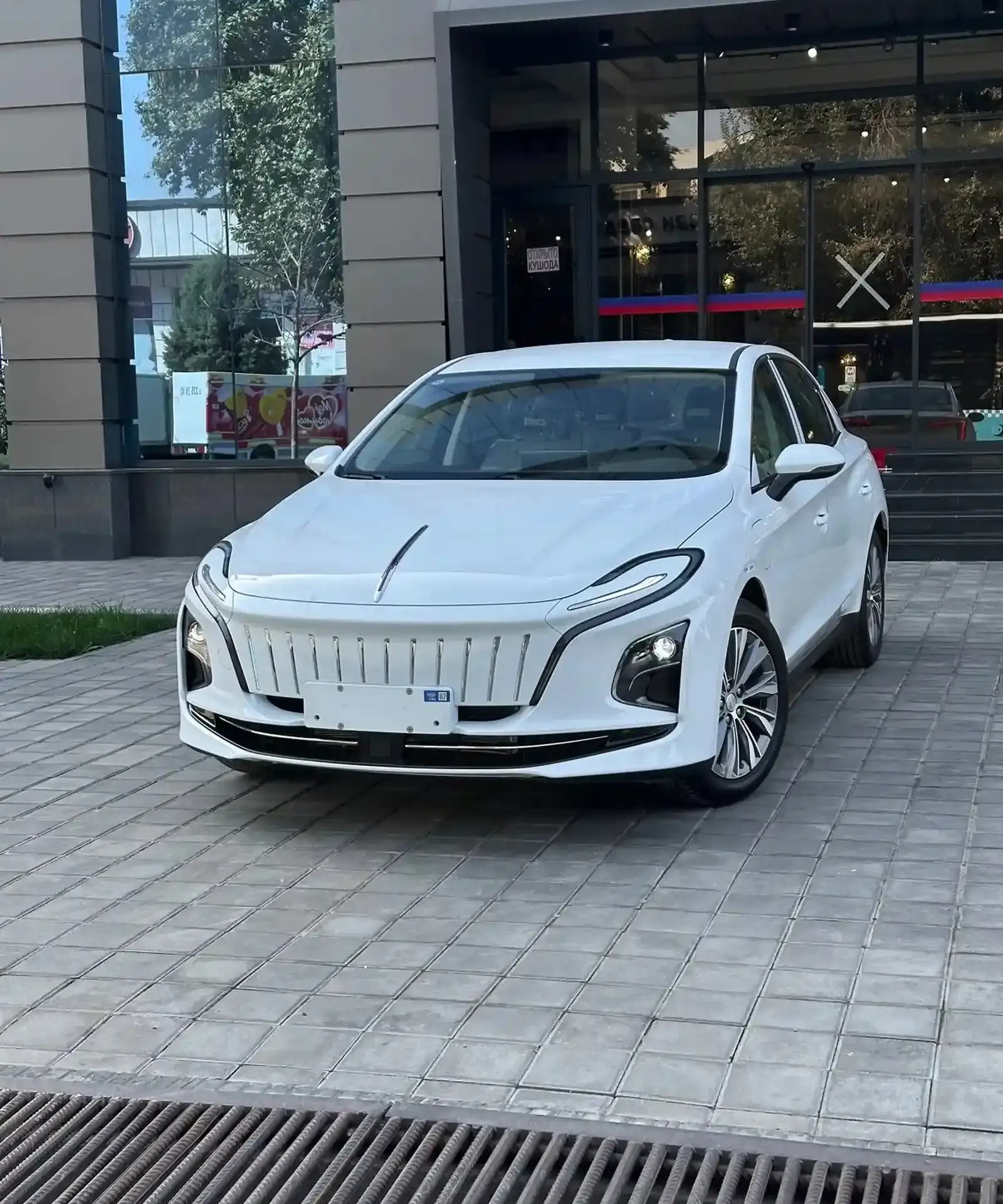 Hongqi E-QM5,