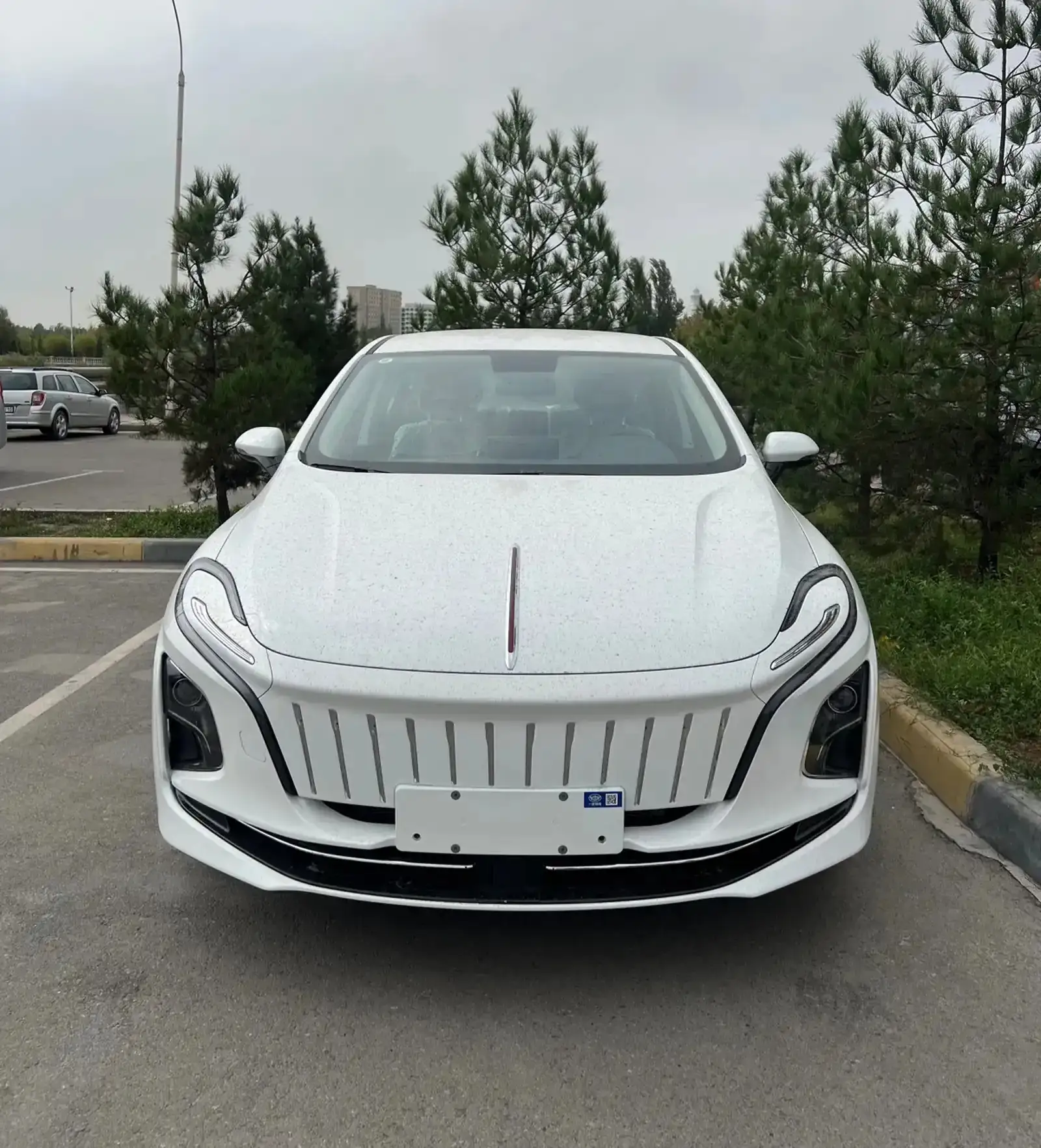 Hongqi E-QM5,