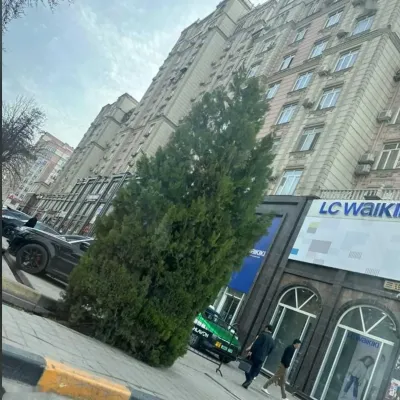 2-комн. квартира, 7 этаж, 80м², шохмансур