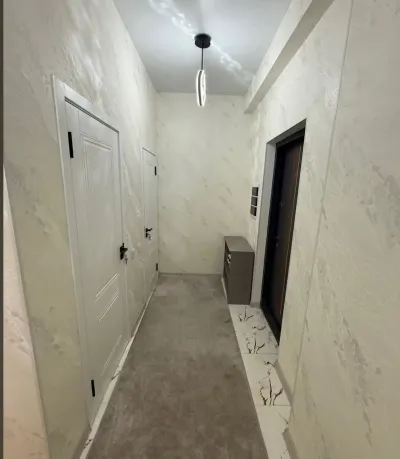 1-комн. квартира, 1 этаж, 60 м², сино