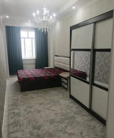 2-комн. квартира, 11 этаж, 63м², сино