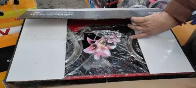 Газовая плита