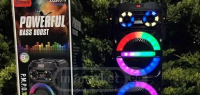 Портативная караоке-колонка SING-E ZQS8315 c RGB-подсветкой, 3 8-дюймовыми динам