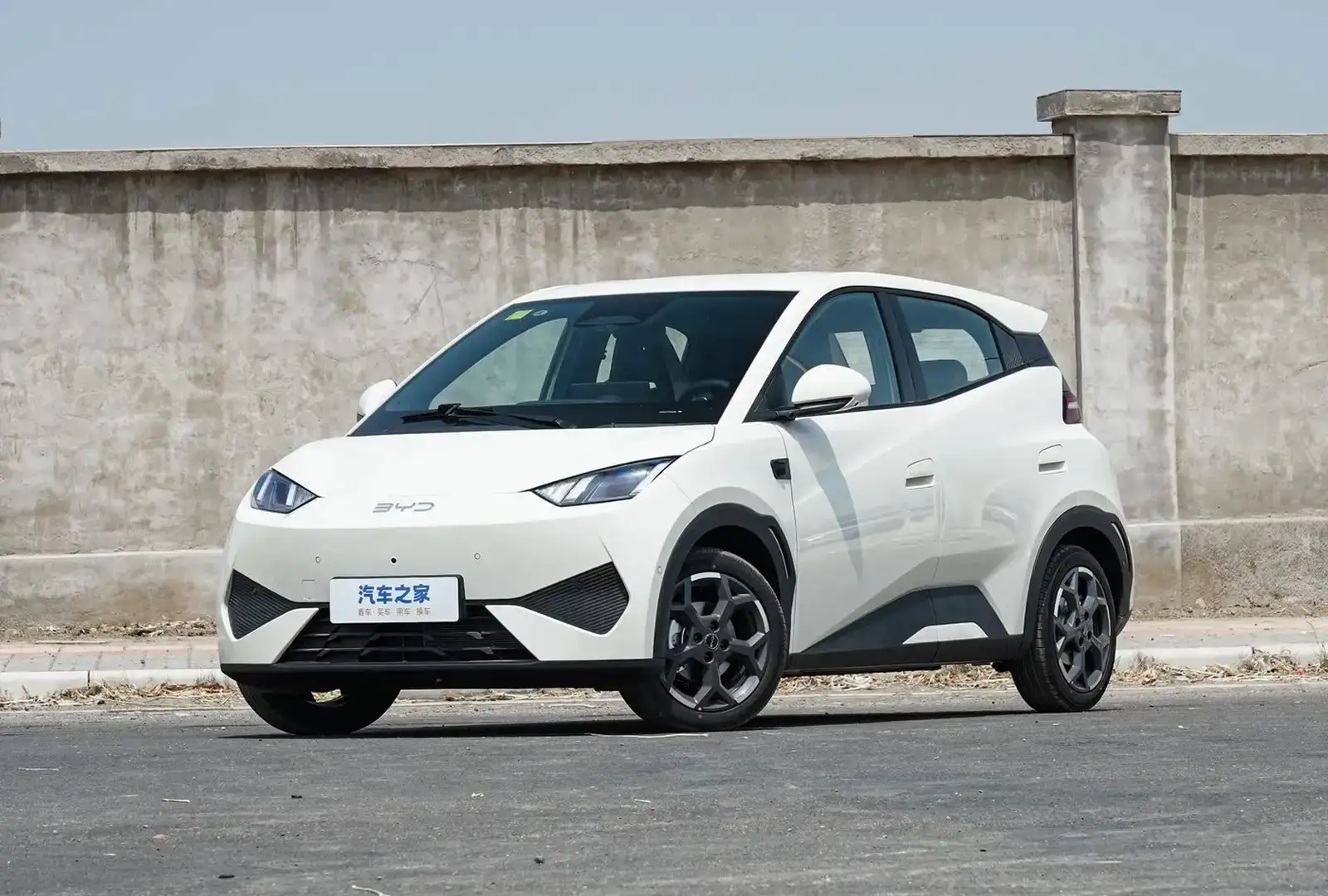 BYD Seagull,
