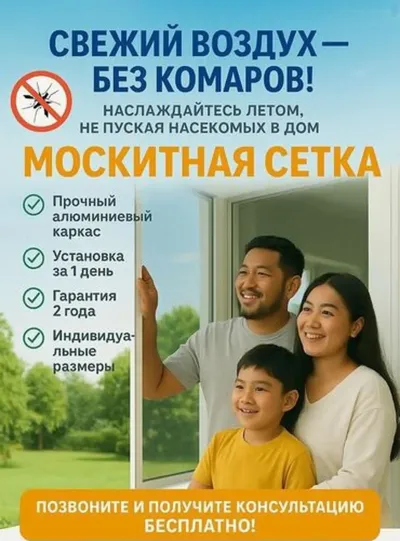 Тур барои пашша