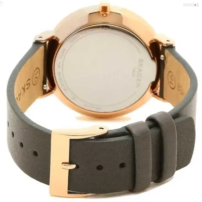 Часы Skagen SKW2674