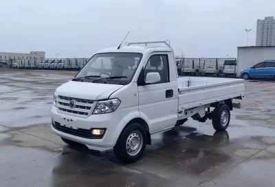 Бортовой автомобиль Ruichi EC31 Piooner Edition, 206 на заказ