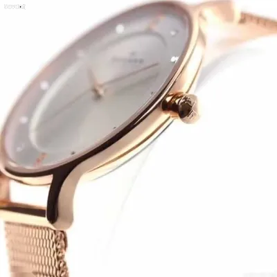 Часы Skagen SKW2151