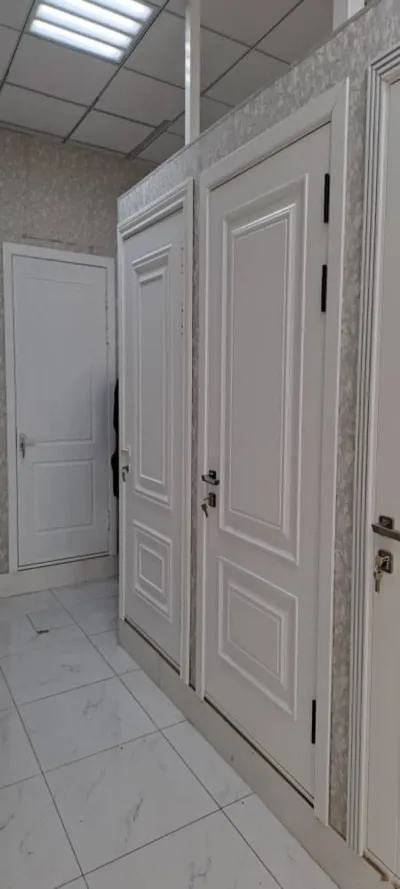 Дверь
