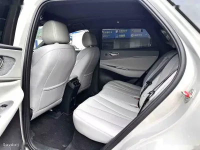 BYD Sea Lion 06, 2025