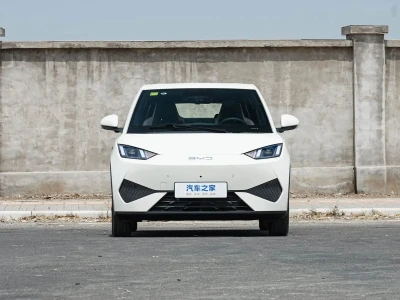 BYD Seagull 2025