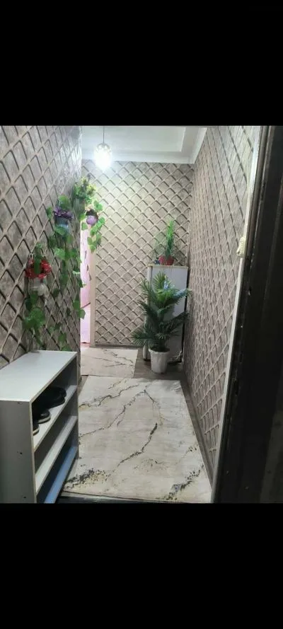 2-комн. квартира, 5 этаж, 52м², сино