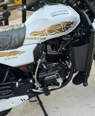 Мотоцикл Suzuki GSX 250
