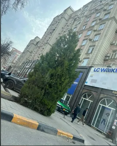 2-комн. квартира, 6 этаж, 74м², Садбарг