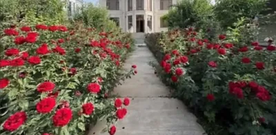 3-этажный, 3 комнатный дом, 600 м², Шохмансур