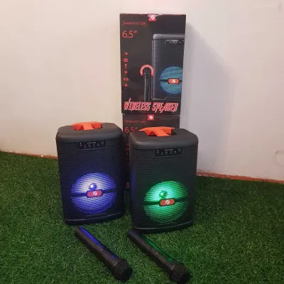 Колонка KTS 1330