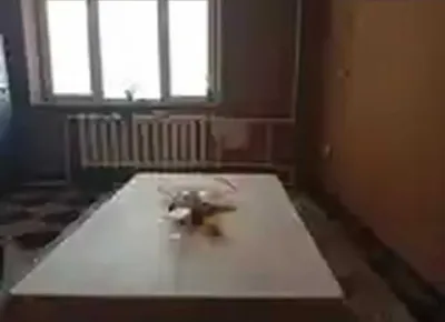 2-комн. квартира, 5 этаж, 82 м², шохмансур
