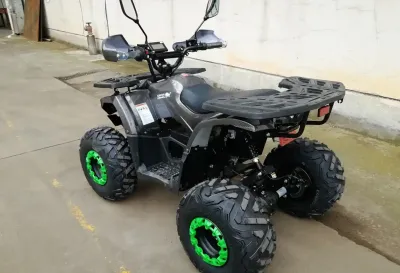 Квадроцикл W1202